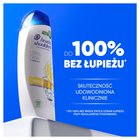 Head & Shoulders Citrus Fresh Codzienny Szampon Przeciwłupieżowy 400 ml do Włosów Tłustych (3)