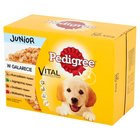 Pedigree Vital Protection Junior w galarecie Karma pełnoporcjowa 1,2 kg (12 x 100 g) (2)