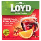 Loyd Herbatka ziołowo-owocowa rozgrzewająca pomarańcza z cynamonem i goździkami 40 g (20 x 2 g) (3)