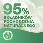 Air Wick Active Fresh Automatyczny odświeżacz powietrza owocowa sangria z przyprawami 228 ml (7)