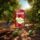 Old Spice Citron Dezodorant w sztyfcie dla mężczyzn ml, 48 h świeżości, bez aluminium (4)