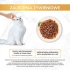 Gourmet Gold Karma dla kotów z wołowiną 85 g (9)