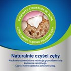 Dentalife Uzupełniająca karma dla dorosłych psów dla dużych ras 142 g (4 sztuki) (4)