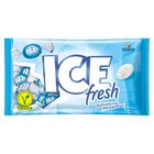 Ice fresh Chłodzące i orzeźwiające cukierki lodowe 125 g (1)
