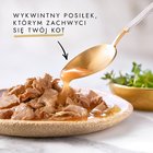 Gourmet Gold Karma dla kotów kawałki w smakowitym sosie z wołowiną 85 g (5)