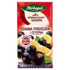 Herbapol Herbaciany Ogród Herbatka owocowo-ziołowa czarna porzeczka z cytryną 54 g (20 x 2,7 g) (3)