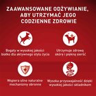 PURINA ONE Mini/Small Adult Karma dla psów bogata w wołowinę z ryżem 800 g (2)