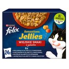 Felix Sensations Jellies Karma dla kotów wiejskie smaki w galaretce 2,04 kg (24 x 85 g) (2)