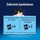 Felix Sensations Jellies Karma dla kotów z wołowiną w galaretce z pomidorami 85 g (7)