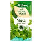 Herbapol Zielnik Polski Herbatka ziołowa mięta 40 g (20 x 2 g) (1)