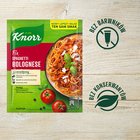 Knorr Fix spaghetti bolognese 41 g (2)