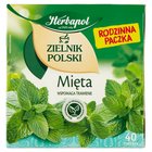 Herbapol Zielnik Polski Herbatka ziołowa mięta 80 g (40 x 2 g) (1)