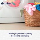 Coccolino Passion Flower & Bergamot Płyn do płukania tkanin koncentrat 1275 ml (51 prań) (2)