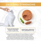 Gourmet Gold Karma dla kotów mus z indykiem 85 g (9)