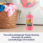 Coccolino Honeysuckle & Sandalwood Płyn do płukania tkanin koncentrat 1275 ml (51 prań) (2)