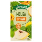 Herbapol Herbatka ziołowo-owocowa melisa z pigwą 35 g (20 x 1,75 g) (1)