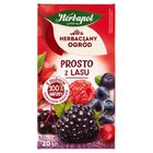 Herbapol Herbaciany Ogród Herbatka owocowo-ziołowa prosto z lasu 50 g (20 x 2,5 g) (1)