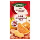 Herbapol Herbaciany Ogród Herbatka owocowo-ziołowa imbir z pomarańczą i pigwą 50 g (20 x 2,5 g) (1)