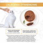 Gourmet Gold Karma dla kotów mus z wołowiną 85 g (9)