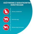 PURINA ONE Bifensis Sterilcat Karma dla kotów bogata w łososia 800 g (2)