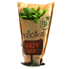 BAZIÓŁKA BAZYLIA BIO (1)