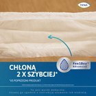 TENA ProSkin Pants Normal Wyrób medyczny majtki chłonne L 10 sztuk (6)