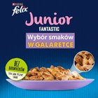 Felix Fantastic Junior Karma dla kociąt wybór smaków w galaretce 1,02 kg (12 x 85 g) (3)