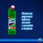 Domestos Przedłużona Moc Pine Fresh Płyn czyszcząco-dezynfekujący 1 l (4)