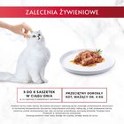 Gourmet Mon Petit Intense Karma dla kotów delikatne kawałki w pysznym sosie 6 x 50 g (10)