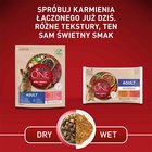 PURINA ONE Mini/Small Adult Karma dla psów bogata w wołowinę z ryżem 800 g (7)