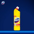 Domestos Przedłużona Moc Citrus Fresh Płyn czyszcząco-dezynfekujący 1 l (4)