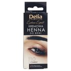 Delia Cosmetics Eyebrow Expert Kremowa henna do brwi 1.0 czarny (1)