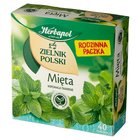 Herbapol Zielnik Polski Herbatka ziołowa mięta 80 g (40 x 2 g) (2)