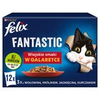 Felix Fantastic Karma dla kotów wiejskie smaki w galaretce 1,02 kg (12 x 85 g) (2)