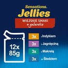 Felix Sensations Jellies Karma dla kotów wybór smaków w galaretce 1,02 kg (12 x 85 g) (5)