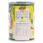 TROPICO ANANAS PLASTER 565G (3)