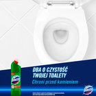 Domestos Przedłużona Moc Pine Fresh Płyn czyszcząco-dezynfekujący 1 l (3)