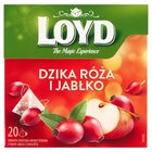 Loyd Herbatka owocowa aromatyzowana o smaku jabłka z dziką różą 40 g (20 x 2 g) (1)