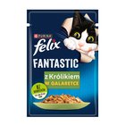 Felix Fantastic Karma dla kotów królik w galaretce 85 g (2)