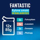 Felix Fantastic Karma dla kotów rybne smaki w galaretce 1,02 kg (12 x 85 g) (5)