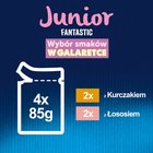 Felix Fantastic Junior Karma dla kociąt wybór smaków w galaretce 340 g (4 x 85 g) (5)