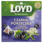 Loyd Herbatka owocowa aromatyzowana o smaku czarnej porzeczki z kwiatem czarnego bzu 40 g (20 x 2 g) (1)