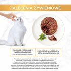 Gourmet Gold Karma dla kotów savoury cake z jagnięciną i zieloną fasolą 85 g (8)