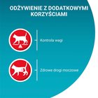 PURINA ONE Sterilcat Karma dla kotów z indykiem i zieloną fasolką 85 g (2)