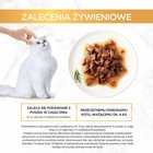 Gourmet Gold Karma dla kotów kawałki w smakowitym sosie z wołowiną 85 g (8)