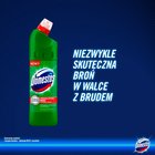 Domestos Przedłużona Moc Pine Fresh Płyn czyszcząco-dezynfekujący 1 l (2)