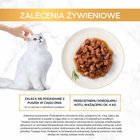 Gourmet Gold Karma dla kotów kurczak i wątróbka w sosie 85 g (8)