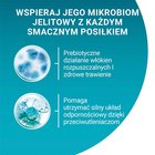 PURINA ONE Indoor Formula Karma dla kotów z tuńczykiem i zielona fasolką 85 g (3)